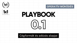 Playbook 0.1 - Cégforma választás, adók és járulékok