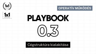 0.3 Playbook - Cégstruktúra kialakítása a magyar KKV-knál