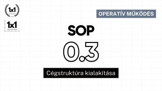 0.3 SOP – Cégstruktúra kialakítása