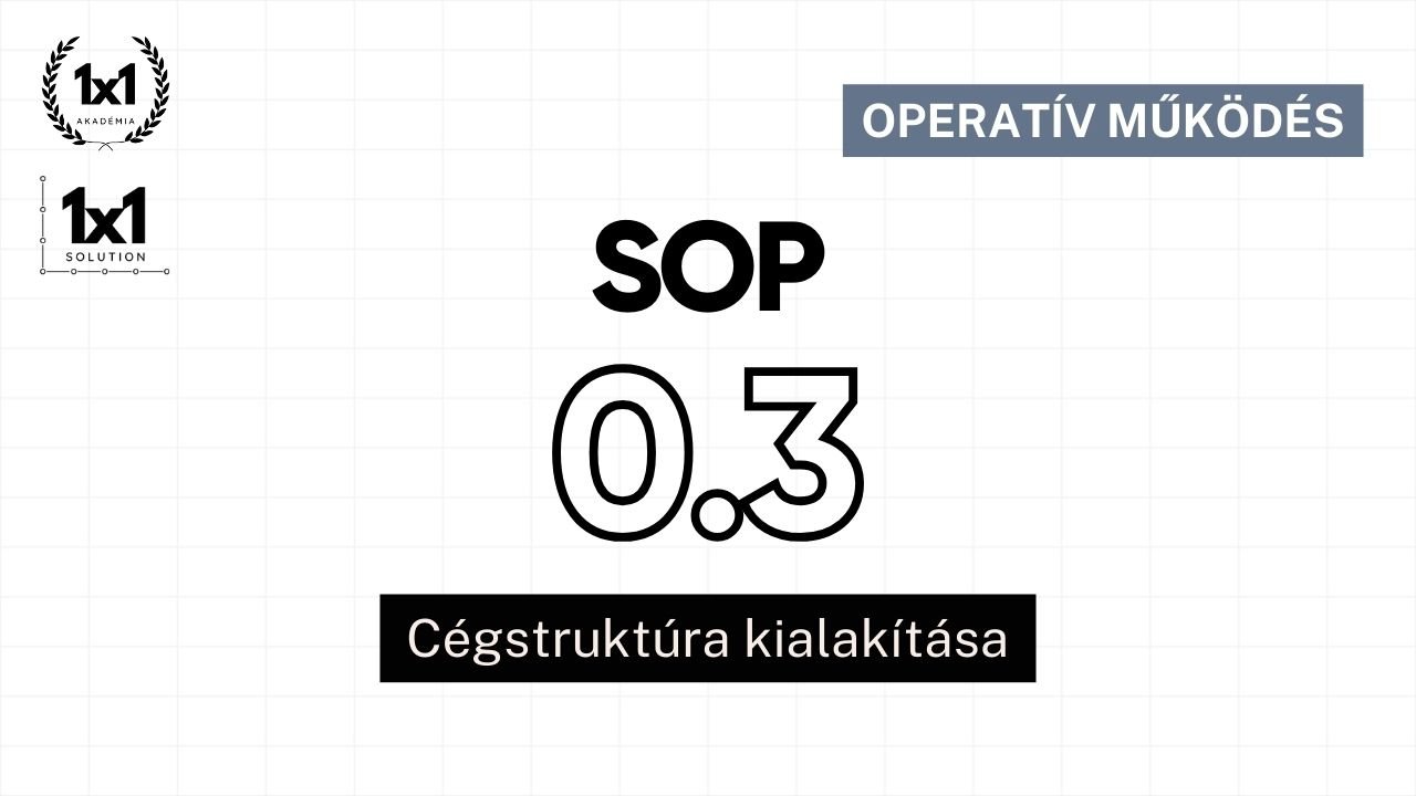 SOP 0.3 - Cégstruktúra kialakítása