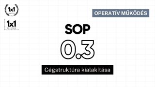 SOP 0.3 - Cégstruktúra kialakítása