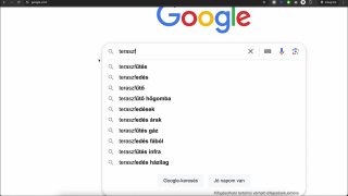 SOP 4.6.1 -  Google kereső